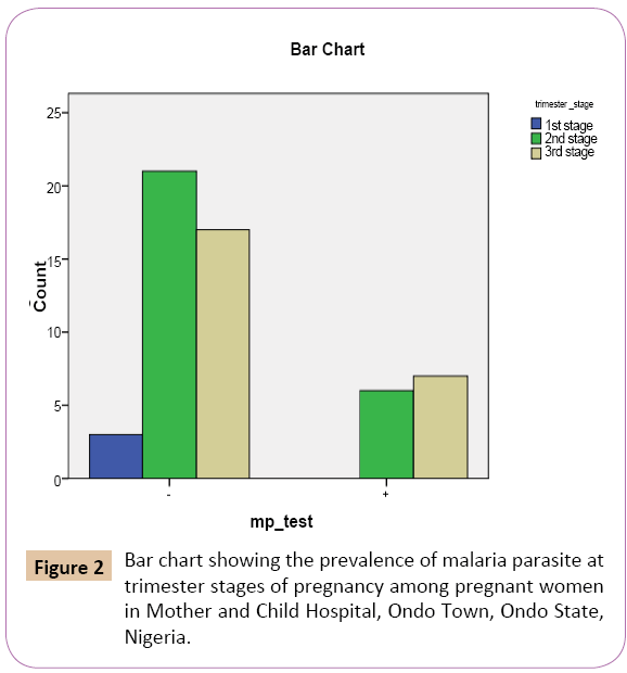 Malaria in Pregnancy: A Demographic and Clinical ...